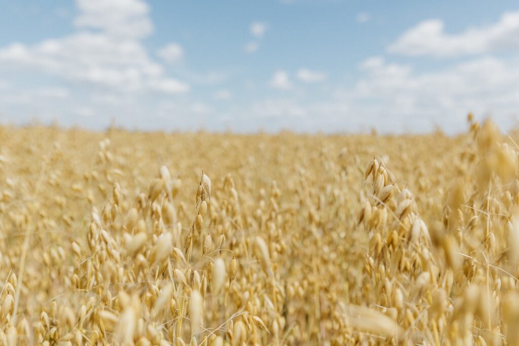 00DF0DD3-BFC4-4113-AF04-9F133A8C9007