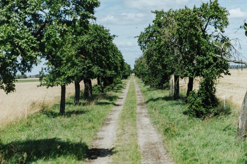 08C39A7D-57F6-4967-A474-AEE6449FC855