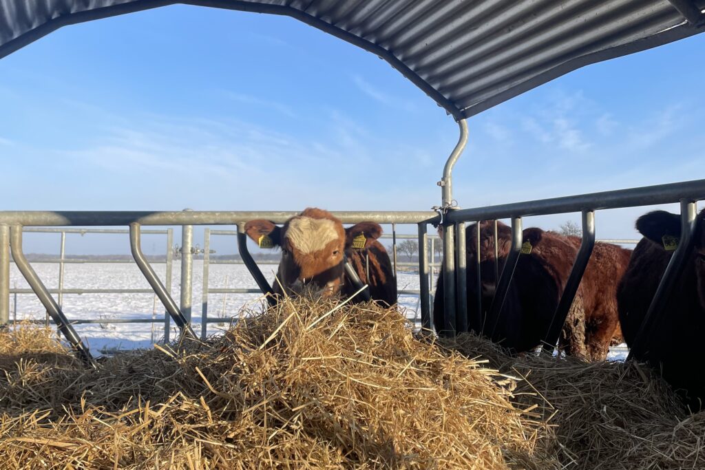 118B015C-8787-48DB-BC3B-91A9A930BF6C