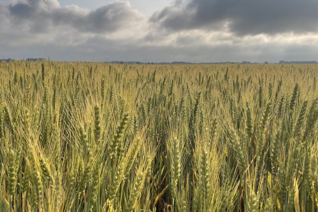 1E8D6C0F-978E-4CB1-BCB6-3912995188B5