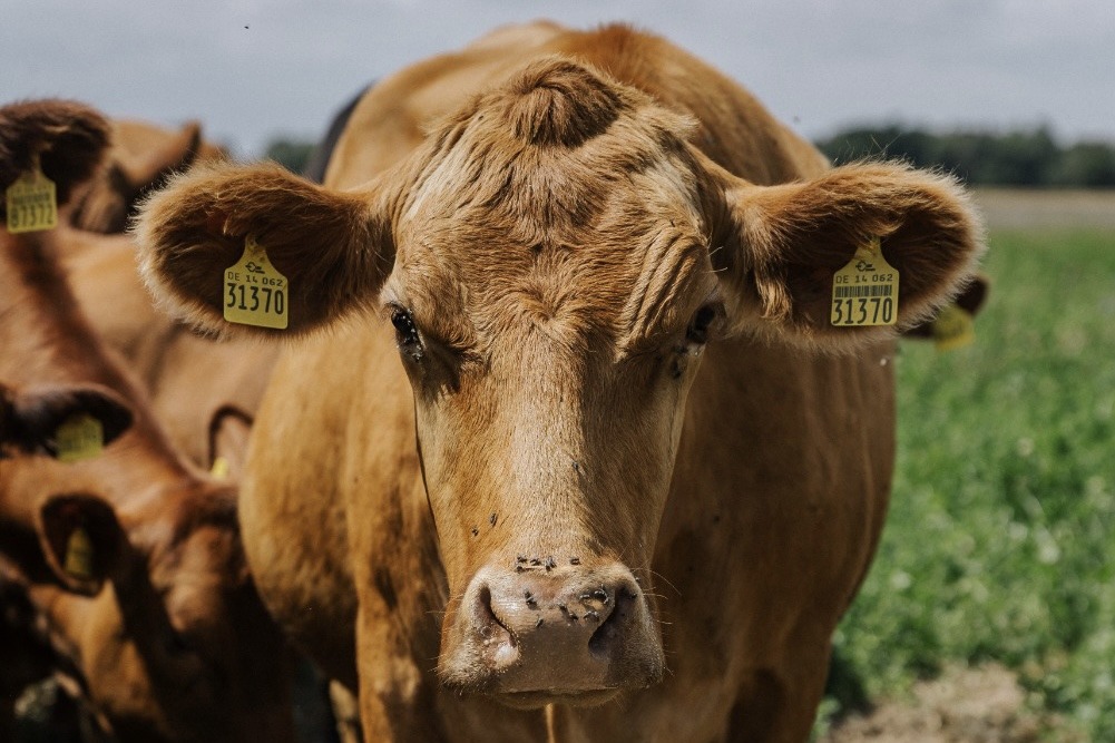 276AAC8E-825E-4A54-AEB5-F874899AF7C0