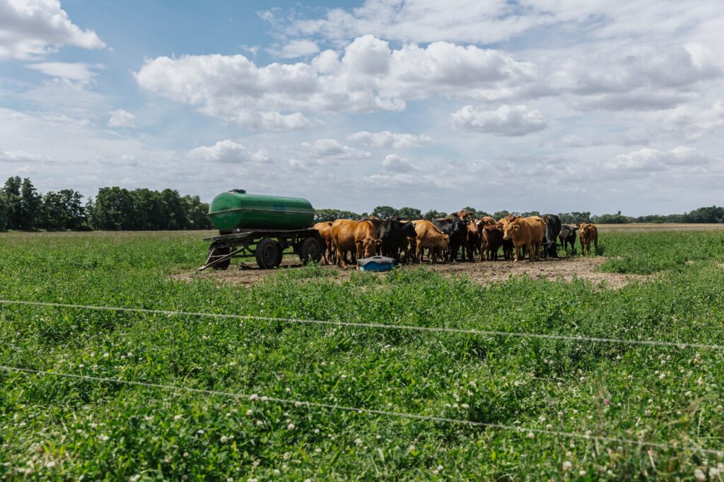 4221343C-2803-452B-97C7-78EEE74DC3A8