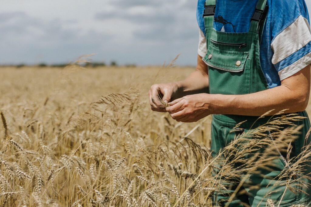 60A46FC9-811E-46EF-A9C5-89F9F4199DB5