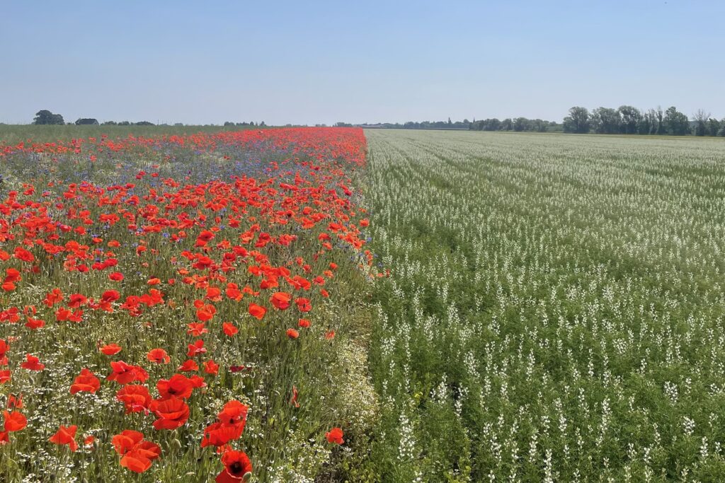 EB053D13-40F4-4EBC-90BC-A77A4EFD22AB